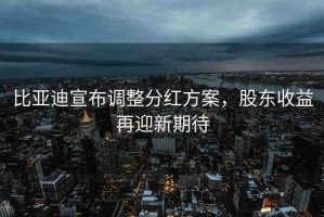 比亞迪宣布調(diào)整分紅方案，股東收益再迎新期待