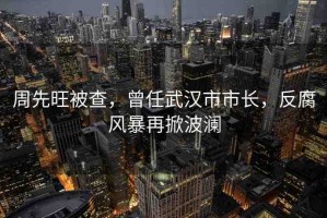 周先旺被查，曾任武漢市市長，反腐風(fēng)暴再掀波瀾