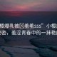 “小櫻爆乳被?羞羞sss”小櫻爆乳的秘密，羞澀青春中的一抹艷麗