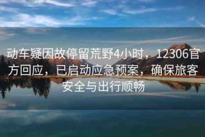 動(dòng)車疑因故停留荒野4小時(shí)，12306官方回應(yīng)，已啟動(dòng)應(yīng)急預(yù)案，確保旅客安全與出行順暢