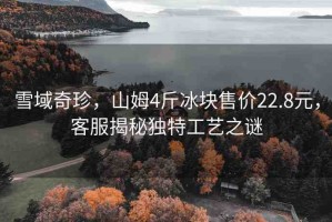 雪域奇珍，山姆4斤冰塊售價22.8元，客服揭秘獨(dú)特工藝之謎