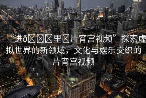 “進(jìn)??里?片宵宮視頻”探索虛擬世界的新領(lǐng)域，文化與娛樂交織的片宵宮視頻