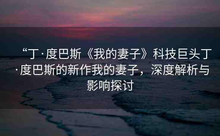 “丁·度巴斯《我的妻子》科技巨頭丁·度巴斯的新作我的妻子，深度解析與影響探討