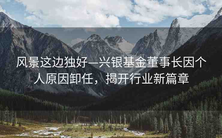 風(fēng)景這邊獨(dú)好—興銀基金董事長(zhǎng)因個(gè)人原因卸任，揭開行業(yè)新篇章