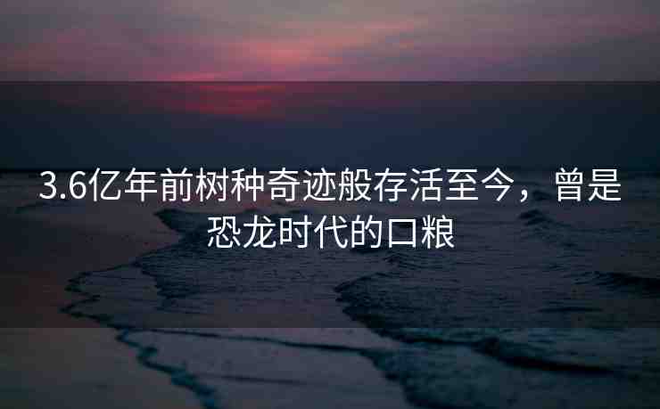 3.6億年前樹種奇跡般存活至今，曾是恐龍時代的口糧