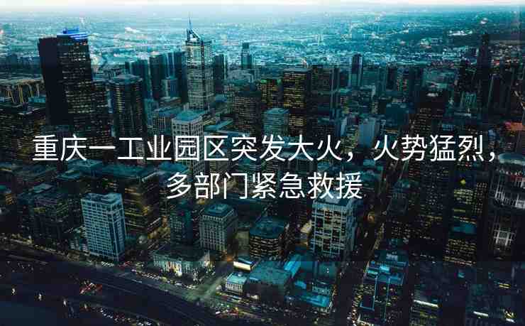 重慶一工業(yè)園區(qū)突發(fā)大火，火勢(shì)猛烈，多部門緊急救援