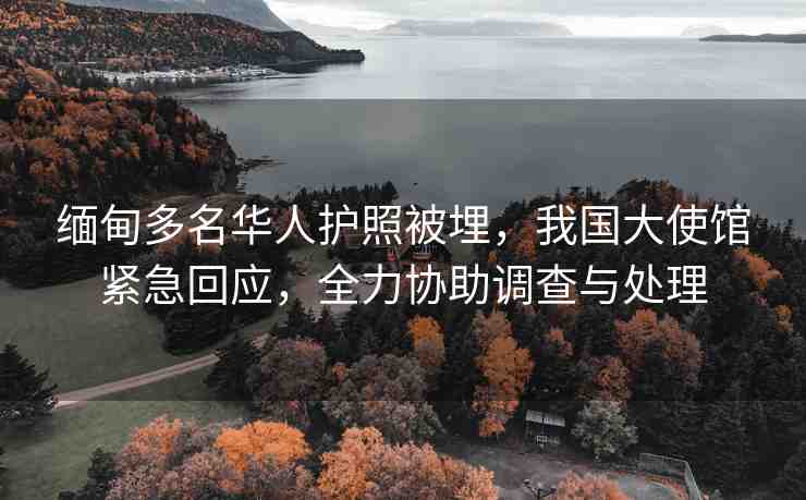 緬甸多名華人護(hù)照被埋，我國(guó)大使館緊急回應(yīng)，全力協(xié)助調(diào)查與處理