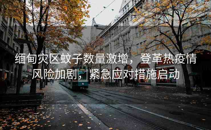 緬甸災(zāi)區(qū)蚊子數(shù)量激增，登革熱疫情風(fēng)險加劇，緊急應(yīng)對措施啟動