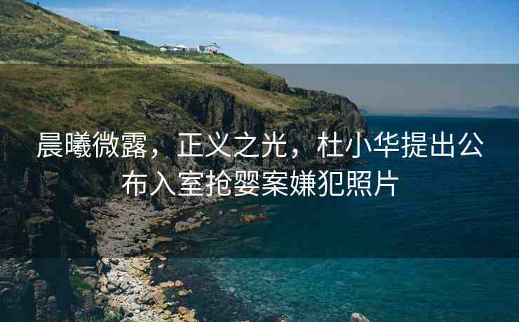 晨曦微露，正義之光，杜小華提出公布入室搶嬰案嫌犯照片