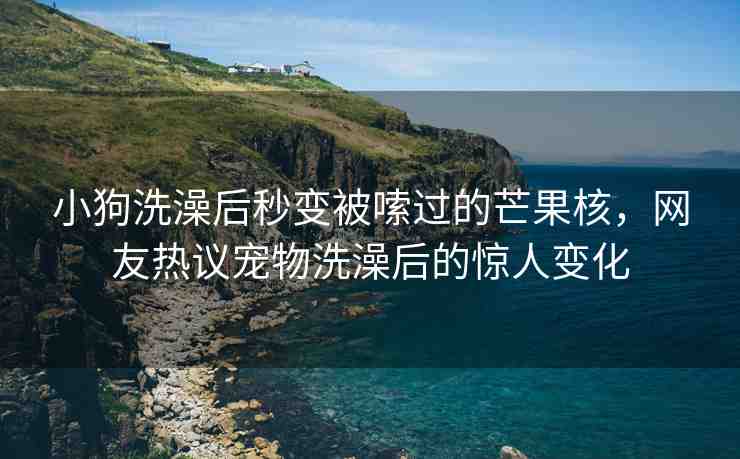 小狗洗澡后秒變被嗦過的芒果核，網(wǎng)友熱議寵物洗澡后的驚人變化