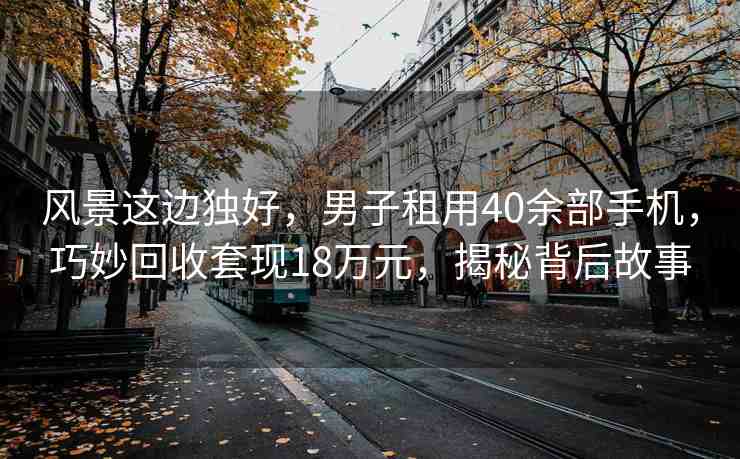 風(fēng)景這邊獨好，男子租用40余部手機，巧妙回收套現(xiàn)18萬元，揭秘背后故事