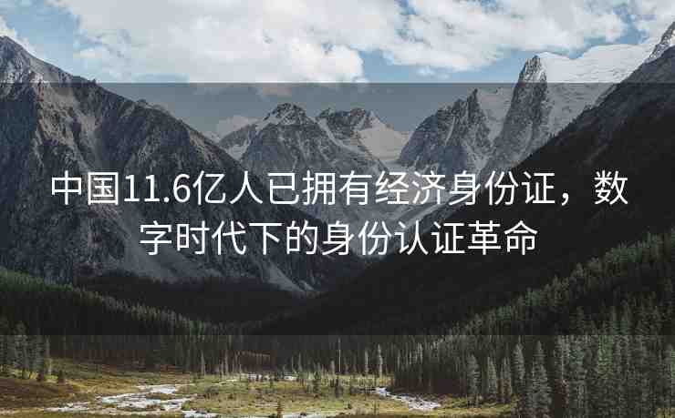中國(guó)11.6億人已擁有經(jīng)濟(jì)身份證，數(shù)字時(shí)代下的身份認(rèn)證革命