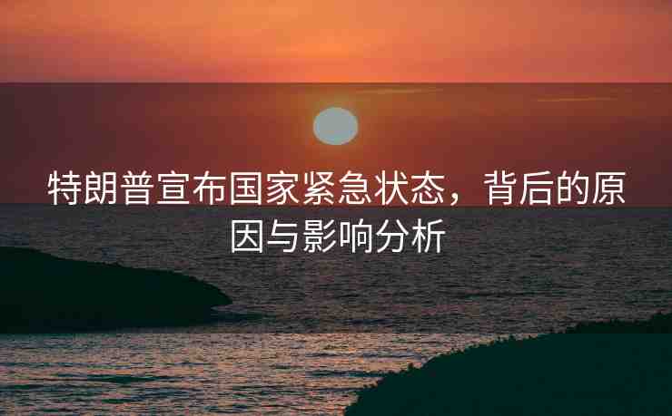 特朗普宣布國(guó)家緊急狀態(tài)，背后的原因與影響分析