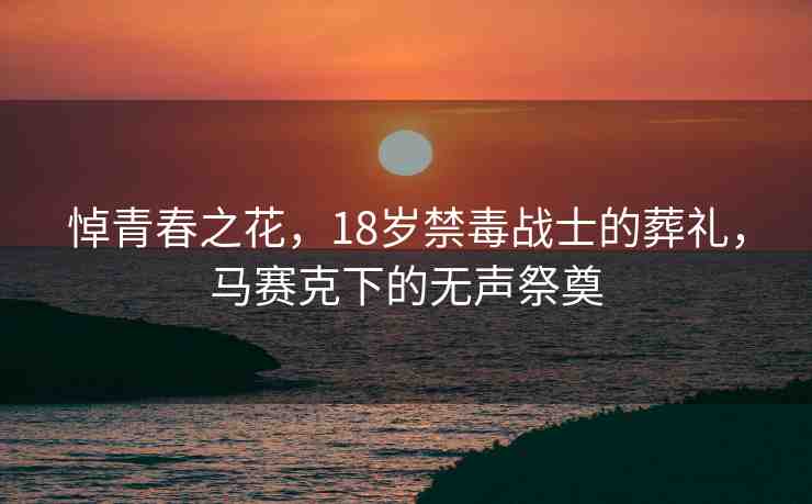 悼青春之花，18歲禁毒戰(zhàn)士的葬禮，馬賽克下的無聲祭奠