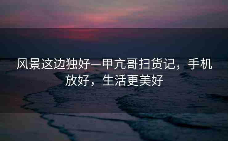 風景這邊獨好—甲亢哥掃貨記，手機放好，生活更美好