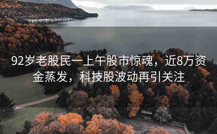 92歲老股民一上午股市驚魂，近8萬資金蒸發(fā)，科技股波動(dòng)再引關(guān)注