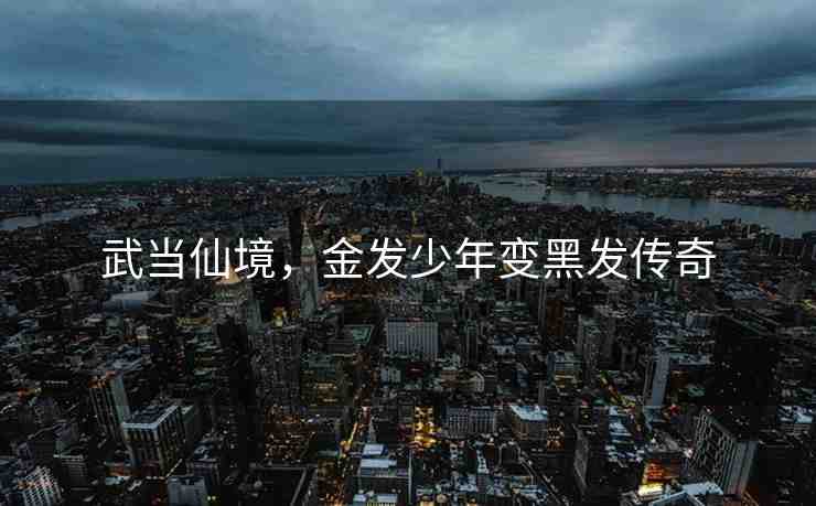 武當(dāng)仙境，金發(fā)少年變黑發(fā)傳奇