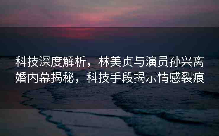 科技深度解析，林美貞與演員孫興離婚內(nèi)幕揭秘，科技手段揭示情感裂痕