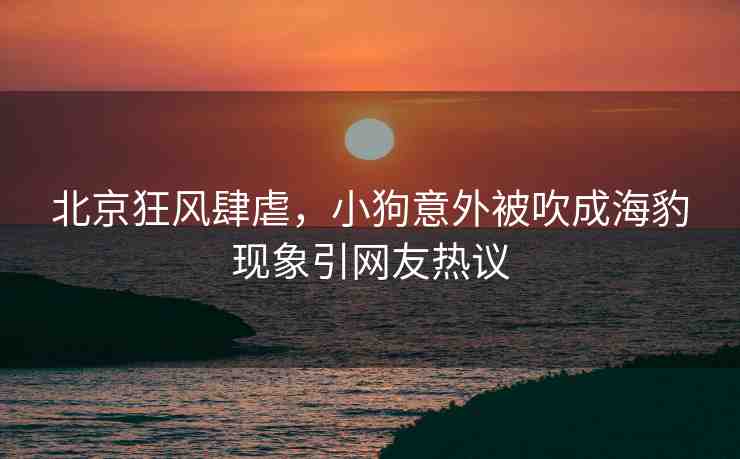 北京狂風(fēng)肆虐，小狗意外被吹成海豹現(xiàn)象引網(wǎng)友熱議