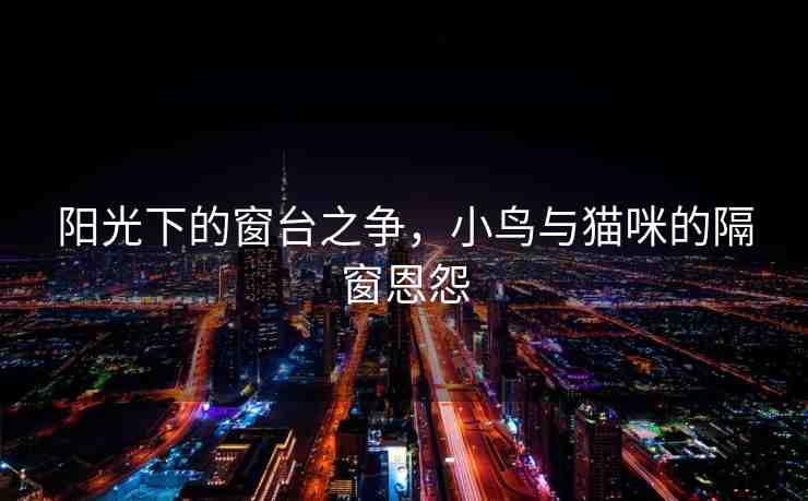 陽光下的窗臺(tái)之爭，小鳥與貓咪的隔窗恩怨