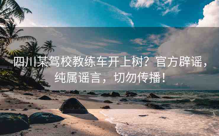 四川某駕校教練車開上樹？官方辟謠，純屬謠言，切勿傳播！