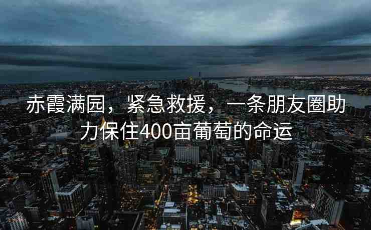 赤霞滿(mǎn)園，緊急救援，一條朋友圈助力保住400畝葡萄的命運(yùn)