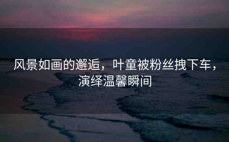 風景如畫的邂逅，葉童被粉絲拽下車，演繹溫馨瞬間