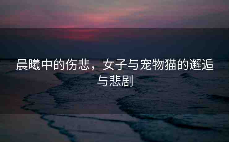 晨曦中的傷悲，女子與寵物貓的邂逅與悲劇