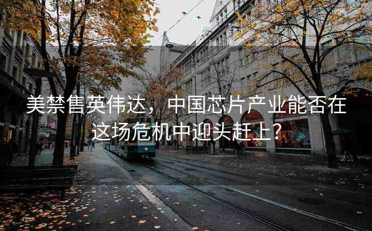 美禁售英偉達，中國芯片產(chǎn)業(yè)能否在這場危機中迎頭趕上？