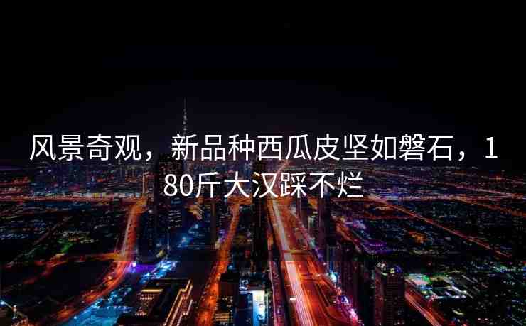 風(fēng)景奇觀，新品種西瓜皮堅(jiān)如磐石，180斤大漢踩不爛