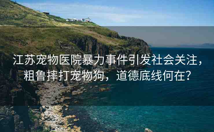 江蘇寵物醫(yī)院暴力事件引發(fā)社會關注，粗魯摔打?qū)櫸锕?，道德底線何在？