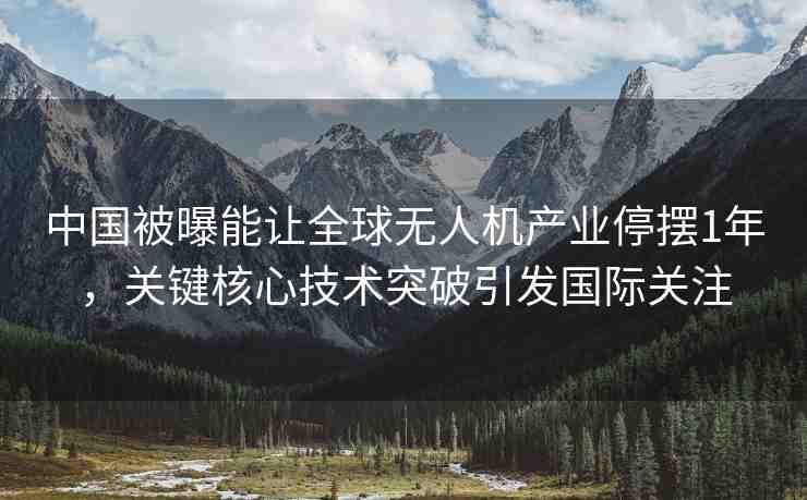 中國被曝能讓全球無人機(jī)產(chǎn)業(yè)停擺1年，關(guān)鍵核心技術(shù)突破引發(fā)國際關(guān)注
