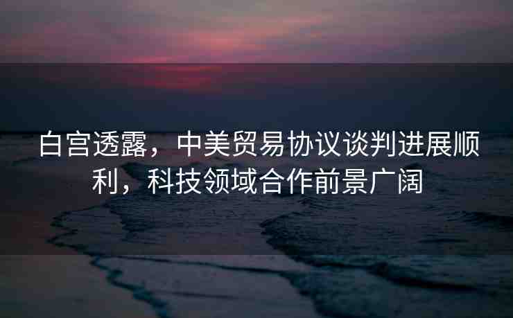 白宮透露，中美貿(mào)易協(xié)議談判進(jìn)展順利，科技領(lǐng)域合作前景廣闊