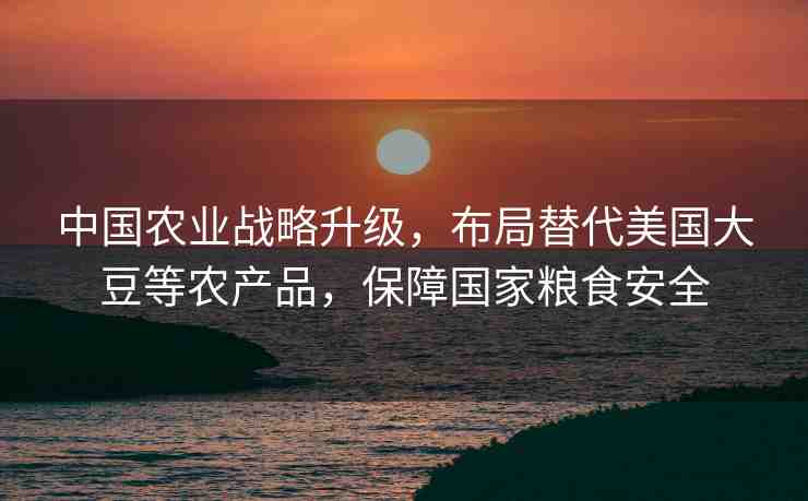 中國(guó)農(nóng)業(yè)戰(zhàn)略升級(jí)，布局替代美國(guó)大豆等農(nóng)產(chǎn)品，保障國(guó)家糧食安全