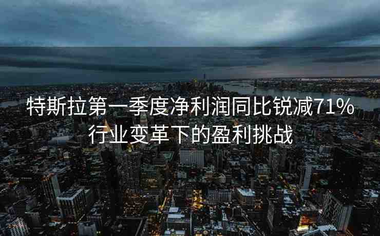 特斯拉第一季度凈利潤同比銳減71%行業(yè)變革下的盈利挑戰(zhàn)