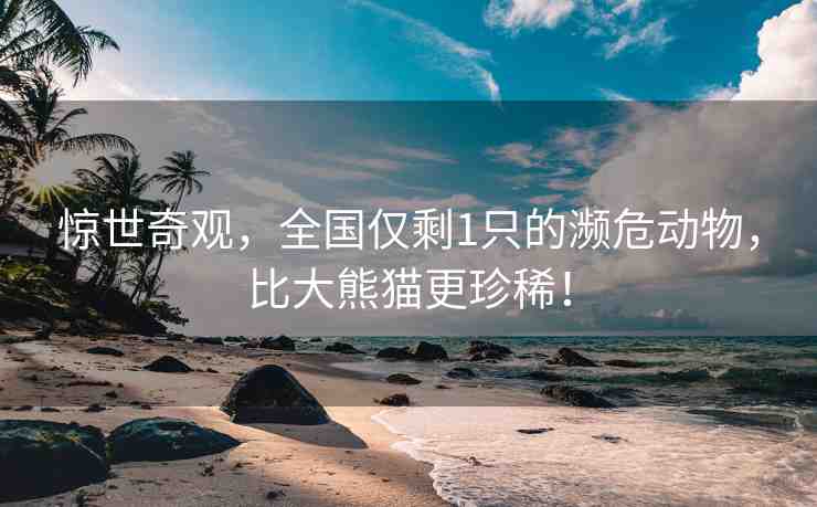 驚世奇觀，全國僅剩1只的瀕危動(dòng)物，比大熊貓更珍??！