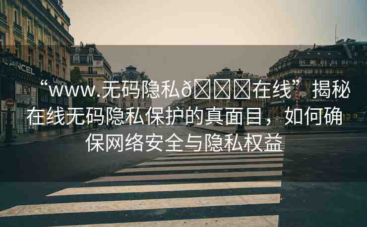“www.無碼隱私??在線”揭秘在線無碼隱私保護的真面目，如何確保網(wǎng)絡(luò)安全與隱私權(quán)益