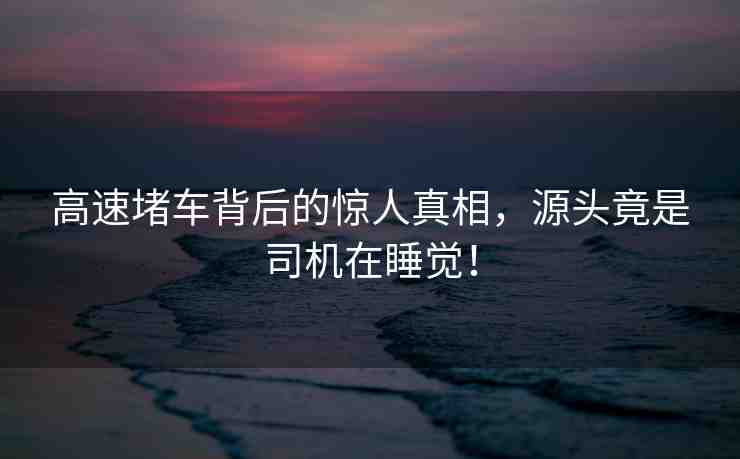 高速堵車背后的驚人真相，源頭竟是司機(jī)在睡覺！