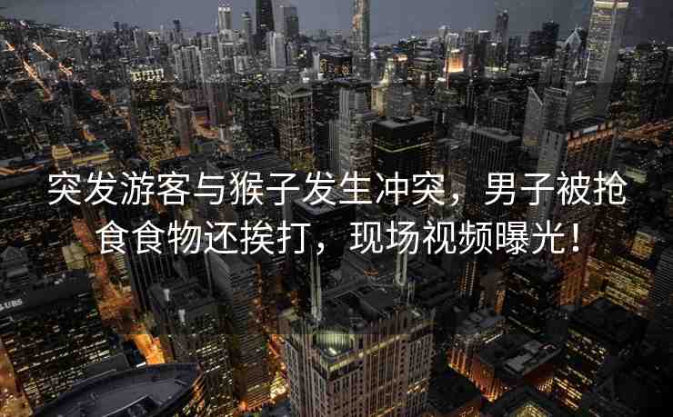 突發(fā)游客與猴子發(fā)生沖突，男子被搶食食物還挨打，現(xiàn)場視頻曝光！