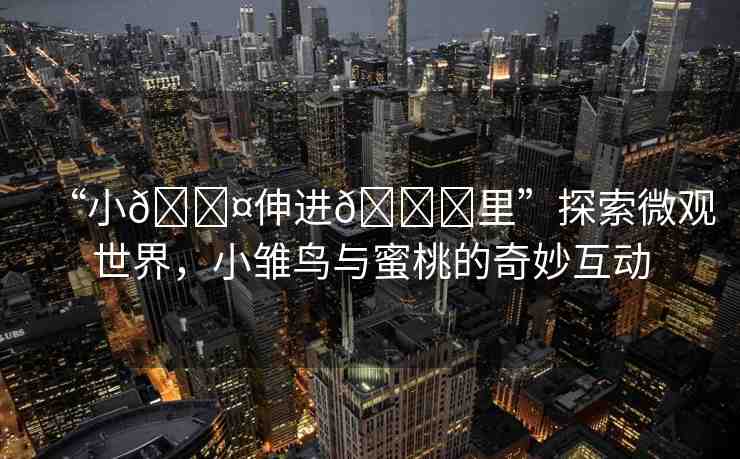 “小??伸進??里”探索微觀世界，小雛鳥與蜜桃的奇妙互動