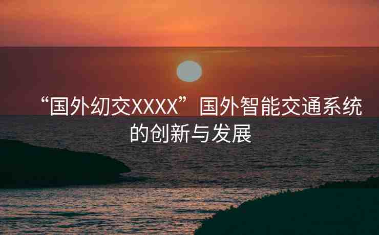 “國(guó)外?交XXXX”國(guó)外智能交通系統(tǒng)的創(chuàng)新與發(fā)展