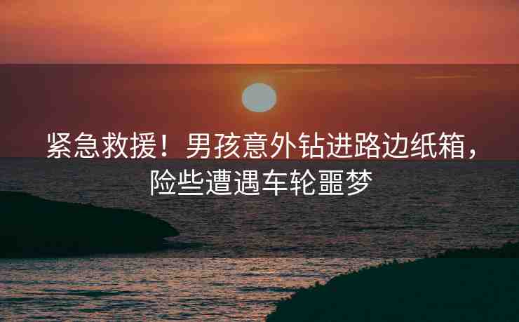 緊急救援！男孩意外鉆進(jìn)路邊紙箱，險(xiǎn)些遭遇車輪噩夢(mèng)