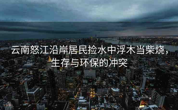 云南怒江沿岸居民撿水中浮木當柴燒，生存與環(huán)保的沖突