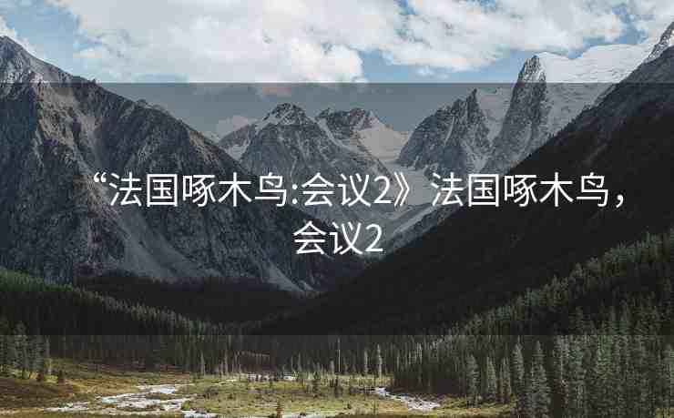 “法國(guó)啄木鳥(niǎo):會(huì)議2》法國(guó)啄木鳥(niǎo)，會(huì)議2