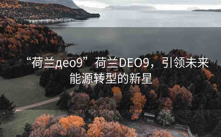 “荷蘭дeo9”荷蘭DEO9，引領(lǐng)未來能源轉(zhuǎn)型的新星