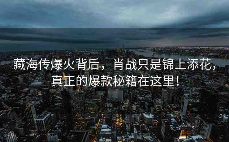 藏海傳爆火背后，肖戰(zhàn)只是錦上添花，真正的爆款秘籍在這里！