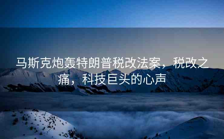 馬斯克炮轟特朗普稅改法案，稅改之痛，科技巨頭的心聲