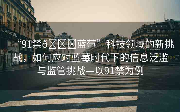 “91禁??藍莓”科技領(lǐng)域的新挑戰(zhàn)，如何應(yīng)對藍莓時代下的信息泛濫與監(jiān)管挑戰(zhàn)—以91禁為例