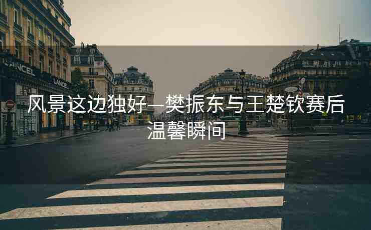 風(fēng)景這邊獨(dú)好—樊振東與王楚欽賽后溫馨瞬間