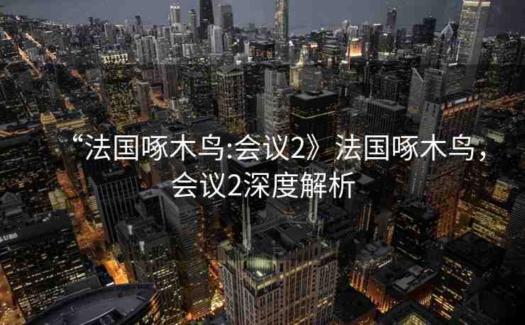 “法國啄木鳥:會議2》法國啄木鳥，會議2深度解析